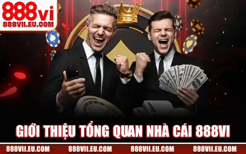 Giới thiệu tổng quát về 888Vi
